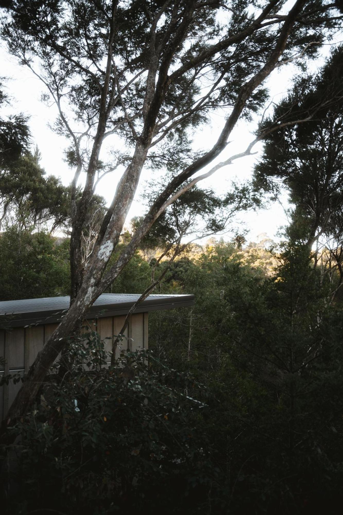 Treehouse Hideaway At Rekindle Tree Houses Opua Exterior photo